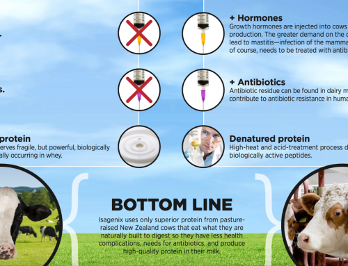 Nutrition Timing – Weight Lifting Post Workout
