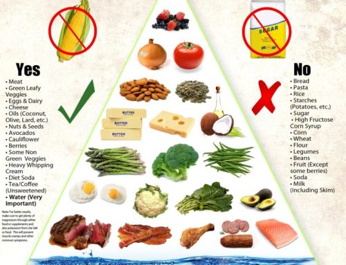 The Keto Diet
